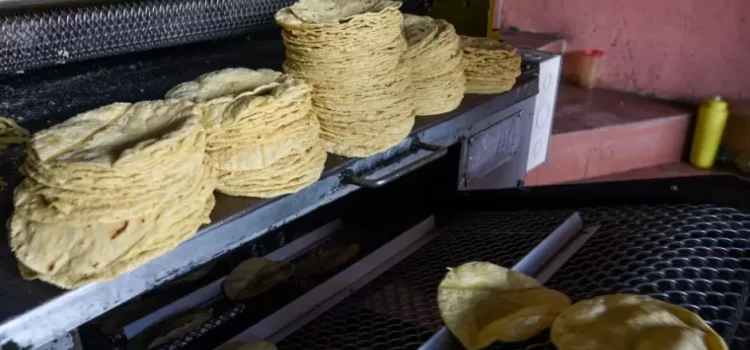 Alto precio afecta venta de tortilla de maíz en Hermosillo