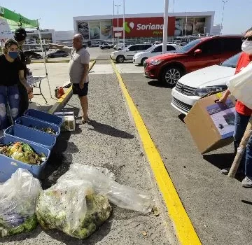 Cambiarán material reciclable por árboles de palo verde