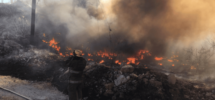 Diez personas fueron detenidas por incendio de maleza en Hermosillo