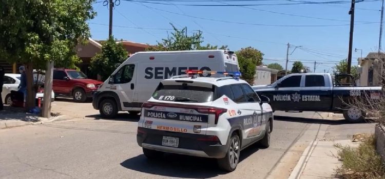 Causa alarma perro muerto en una maleta en la colonia El Sahuaro