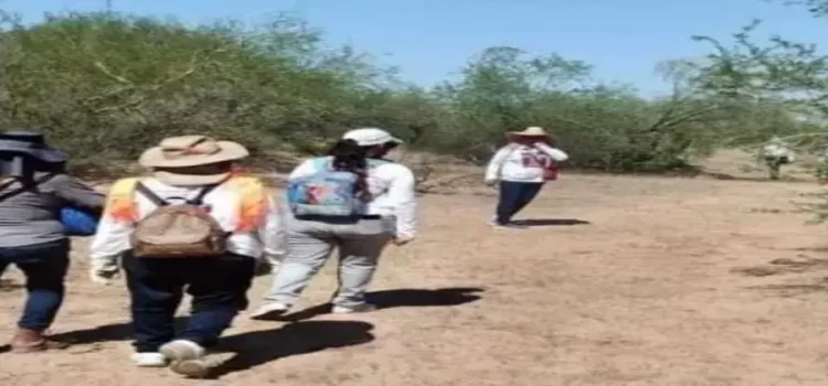 Madres Buscadoras de Sonora son recibidas a balazos al llegar a un punto de búsqueda en la salida Hermosillo – Guaymas