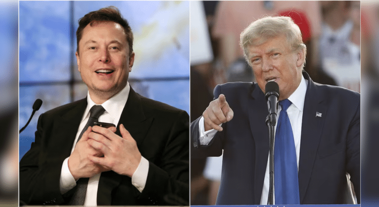 Donald Trump propone a Elon Musk para liderar reforma administrativa si gana las elecciones de 2024