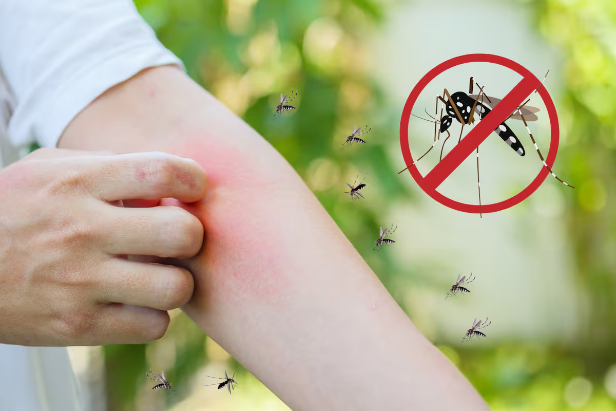 Sonora registra 730 casos de dengue en 2026, más del 4,100% de incremento respecto al año anterior
