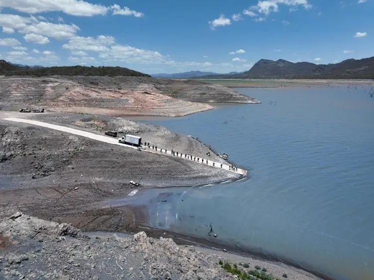 Impulsa Sonora repoblamiento de presas con más de 2.3 millones de crías de tilapia